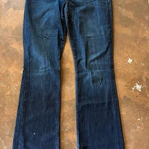 Joe's Jeans Women's Dark Blue Flare Jeans